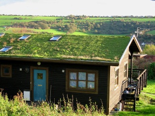    GreenRoofing